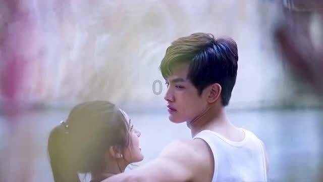 小狗救援行动选关版